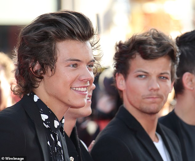 Martin Talbot, of Official Charts, said: 'It's 15 years this year since One Direction topped the Official Singles Chart for the first time with What Makes You Beautiful' (pictured 2013)