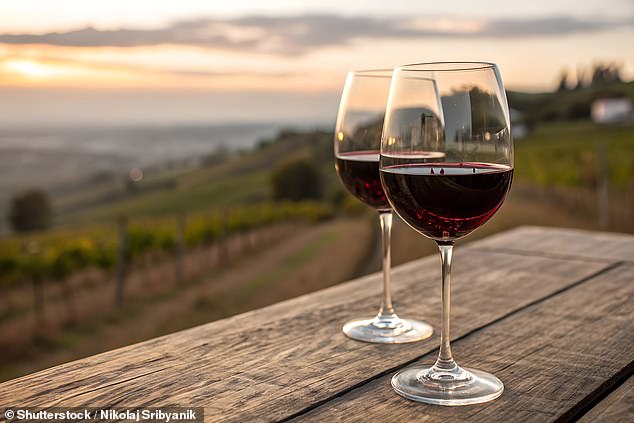 A glass of red wine. Gill Livingston, a professor of psychiatry of older people at University College London and lead author of The Lancet Commission report on dementia prevention, says swapping to smaller glasses of wine can reduce the risk of dementia