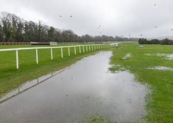 Dublin Racing Festival CANCELLED with another inspection called for Sunday's action as Saturday card moved