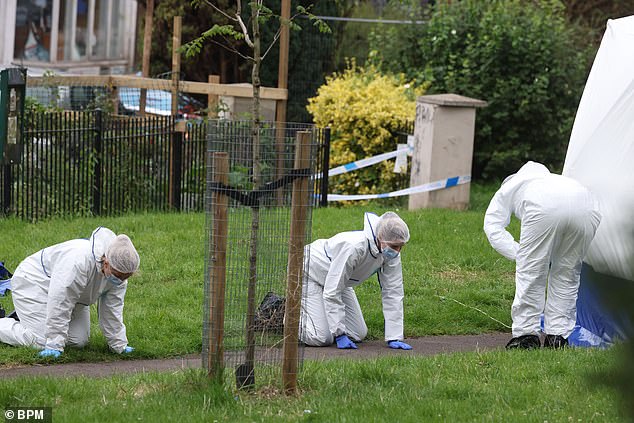 Forensics officers are seen scouring the park for evidence following the teenager's murder