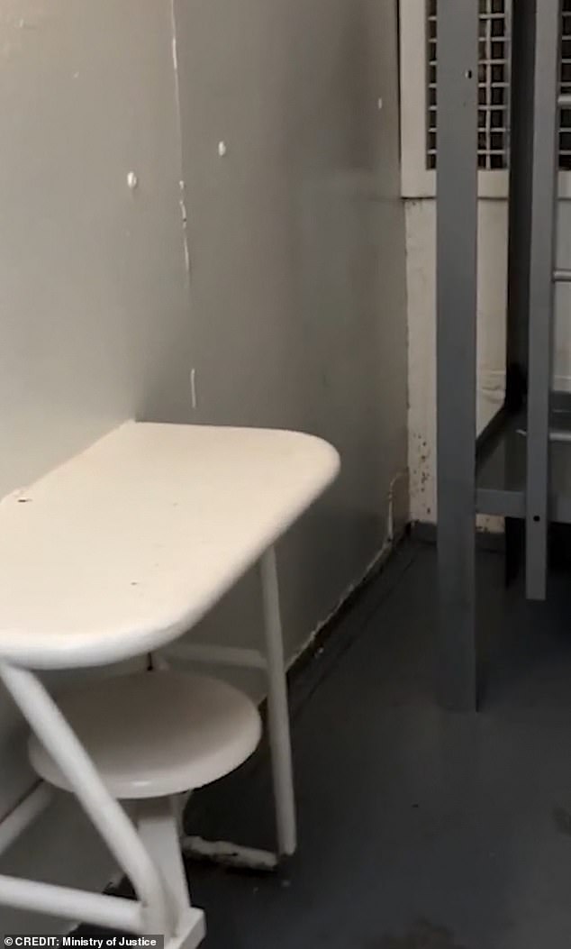 Video footage released by the Department of Justice shows Jeffrey Epstein's prison cell