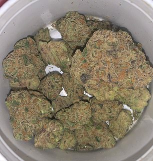 Mr Robinson said: 'Those of you who know me well will know my long standing relationship with cannabis'