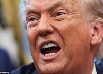 The moment Donald Trump thought his European allies were trying to thwart his desire to annex Greenland, he moved to punish them