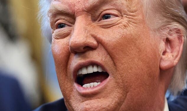 The moment Donald Trump thought his European allies were trying to thwart his desire to annex Greenland, he moved to punish them