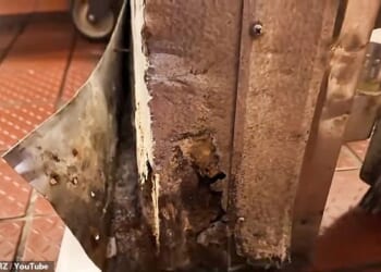 Workers at a filthy Louisiana Wendy's said that they've been forced in disturbing and unsanitary conditions, one of which being mold rapidly forming beneath the sandwich maker