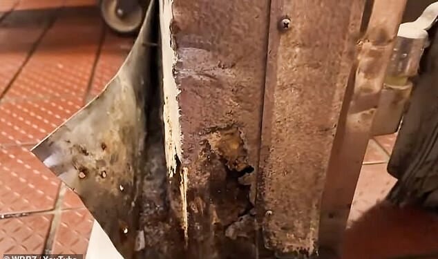 Workers at a filthy Louisiana Wendy's said that they've been forced in disturbing and unsanitary conditions, one of which being mold rapidly forming beneath the sandwich maker