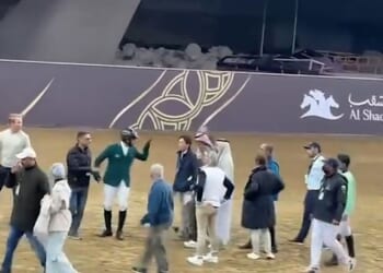 Eve Jobs' Olympic gold medal-winning showjumper husband (pictured wearing a green jacket) leapt off his horse and became involved in a furious row with a stable worker during a competition in Qatar