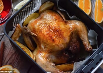 Have air fryers got too big or are these mini ovens a household essential?