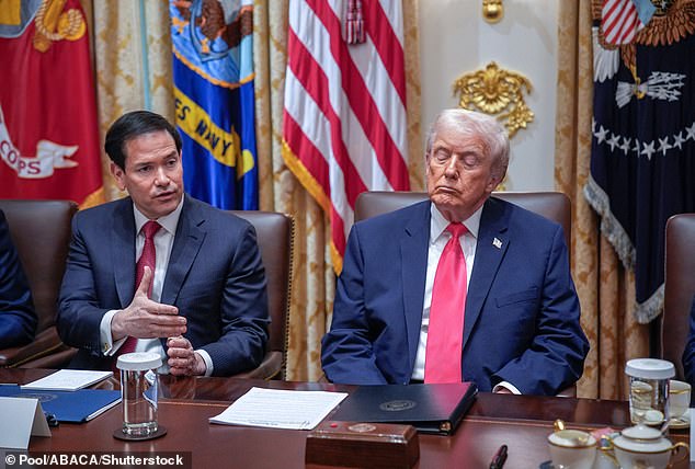 Donald Trump admits he's running on little sleep and defying doctor's recommendations to lower his daily dosage of aspirin. Pictured: The president shuts his eyes as Secretary of State Marco Rubio speaks during a cabinet meeting at the White House on December 2, 2025