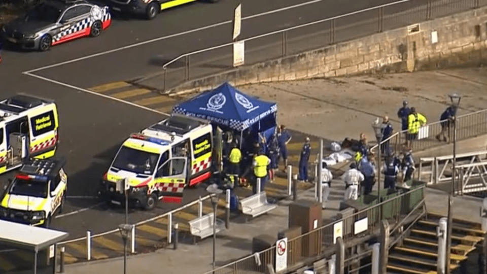 Overhead view of emergency services, including police and ambulances, at a scene with a blue "Police Rescue" tent.