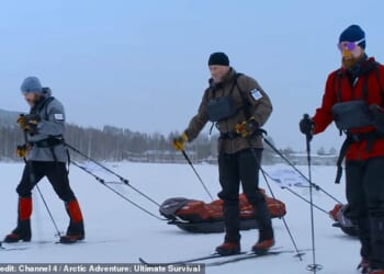 Arctic Adventure: Ultimate Survival follows Celebrity SAS star Jason Fox as he leads a team on a 500km (310 mile) ultramarathon across frozen wastes in northern Sweden