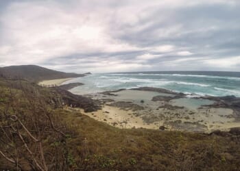 A Canadian woman has been found dead surrounded by dingoes on K'gari