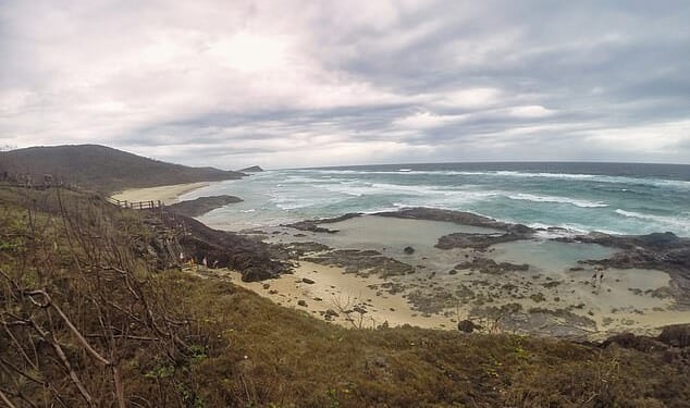 A Canadian woman has been found dead surrounded by dingoes on K'gari