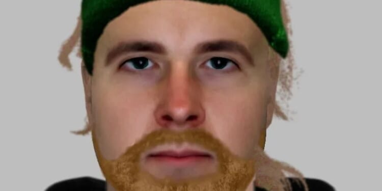 Cops release e-fit in hunt for bag-snatching thief... but everyone says suspect looks like iconic boyband star