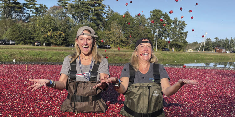 Cranberries – a holiday staple, and so much more than meets the eye