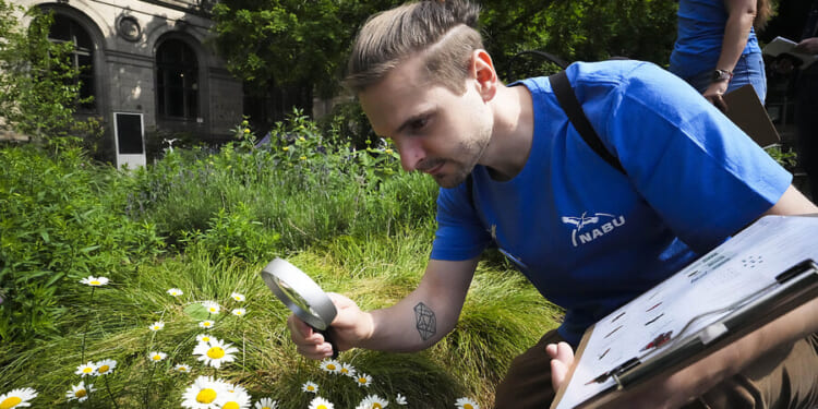 Crowdsourcing the awe of nature