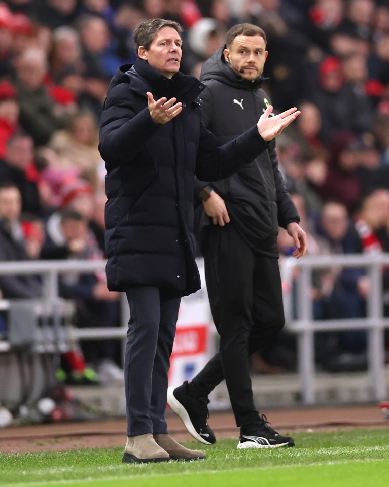 Sunderland v Crystal Palace - Premier League