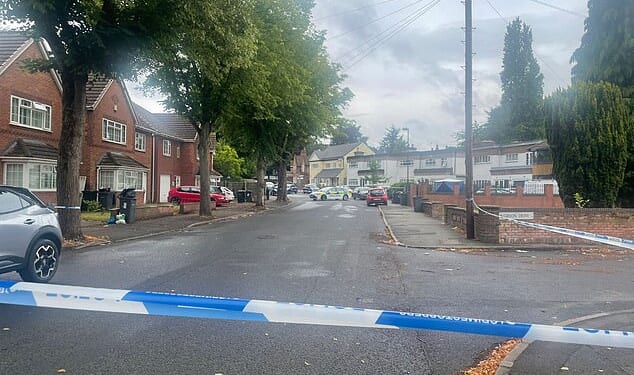 Mahamed Mahamad, 37, allegedly slashed at DPD worker Aqeef Ali 29 times with a huge serrated knife here on Gibson Road, Handsworth in Birmingham (pictured: the scene in the hours after the attack)