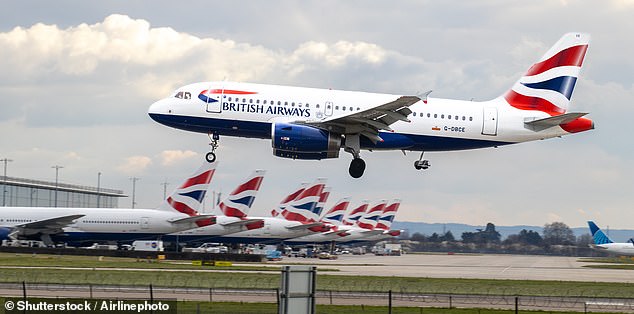 BA told Mr Neil it was ¿sorry to hear¿ about his experience and said he could request a wifi refund (file image)