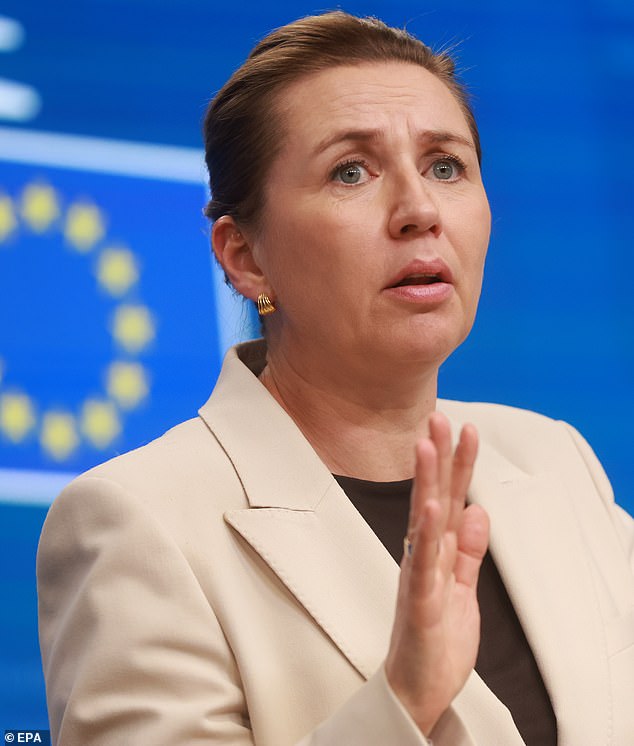 Denmark's prime minister reiterated that the country is working to strengthen security in the Arctic, and described the kingdom as vast in territory but small in population