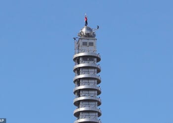Alex Honnold has revealed he got an 'embarrassingly small' fee for his death-defying ascent