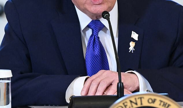 Donald Trump 'orders army chiefs to draw up plan to invade Greenland': US President emboldened by success of Maduro capture operation