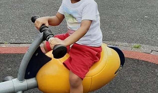 Driver told police boy, five, 'touched external sensor' and electric car 'jumped forward' and killed him, court hears