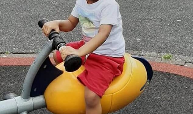 Electric car driver 'pressed the accelerator instead of the brake' before hitting young boy who died, court hears