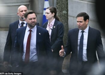 European diplomats were left on edge by JD Vance, saying the vice president 'hates us' following a meeting between the Trump administration and representatives of Denmark and Greenland