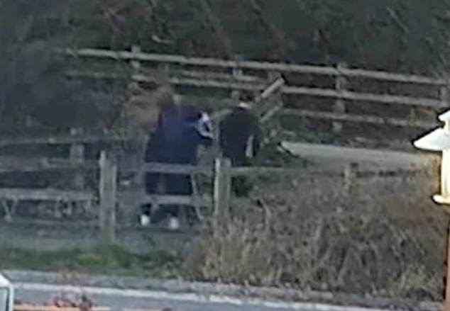 Footage shows Huntley, Mills-Smith and Quailey-Dashper walking up to the door of the flat, with Huntley armed with the handgun