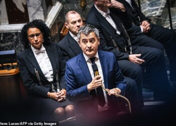 Darmanin (pictured) served as interior minister from 2020 to 2024