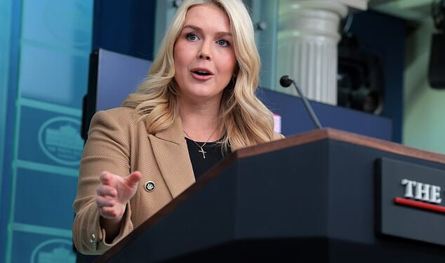 White House Press Secretary Karoline Leavitt speaks during a news briefing in the James S. Brady Press Briefing Room of the White House on Thursday