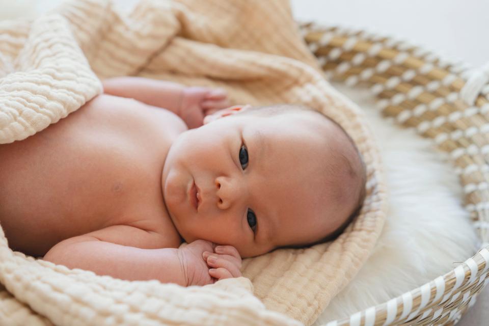 Newborn baby boy lying in a moses basket.