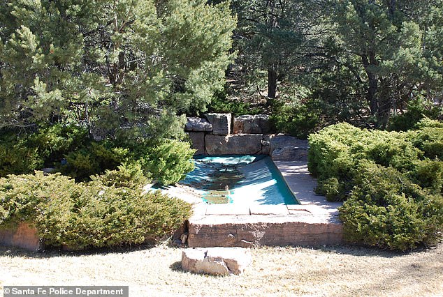 A pond was empty and bushes were overgrown