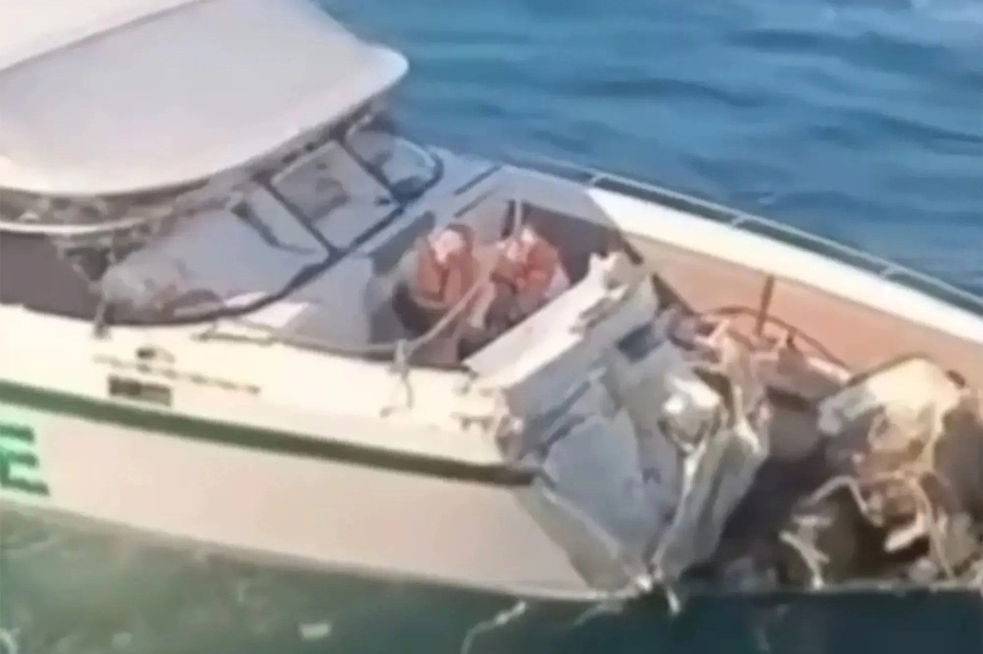Boat collision in Thailand