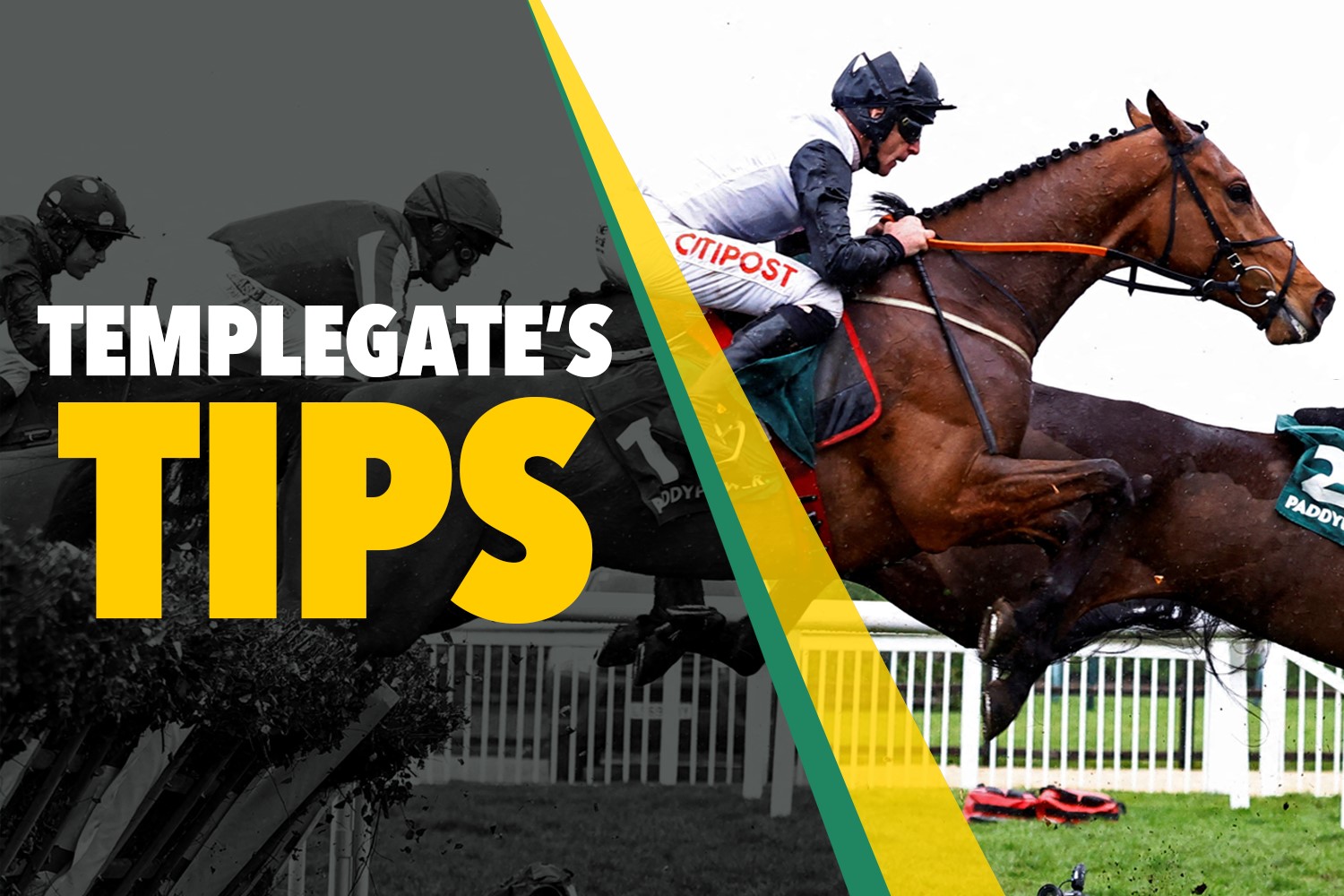 Collage of racehorses jumping hurdles with text "TEMPLEGATE'S TIPS" overlay.