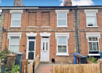 House appears too good to be true as it hits market… until viewers spot VERY bizarre feature in the kitchen