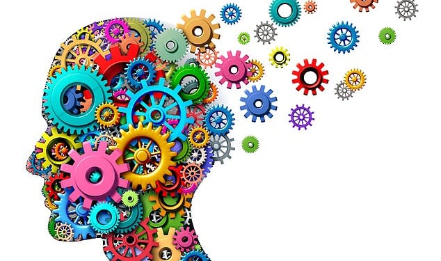 When we think about brain health, it can be easy to forget that the brain doesn’t exist in isolation but is intricately connected to every other organ, tissue and nerve cell in our bodies