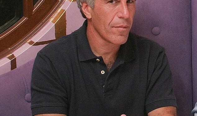 Jeffrey Epstein (Pictured) allegedly sent a bodyguard to threaten a photographer for New York magazine to turn over pictures taken for a cancelled article