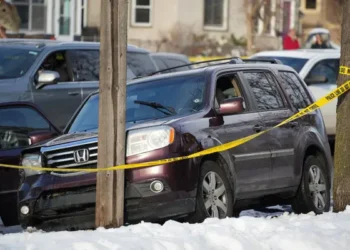 ICE Agent Kills Minneapolis Woman