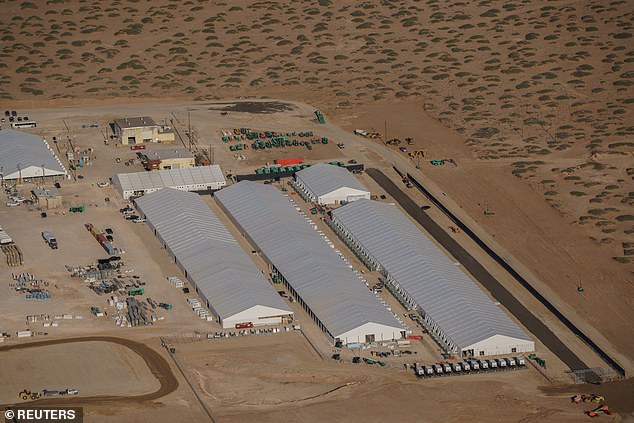 The ACLU alleges ICE officers committed physical and sexual abuse against men detained at the Fort Bliss immigration facility in Texas