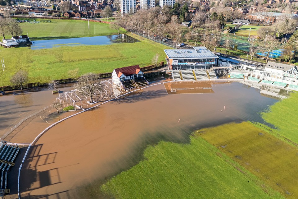 NINTCHDBPICT001054733350