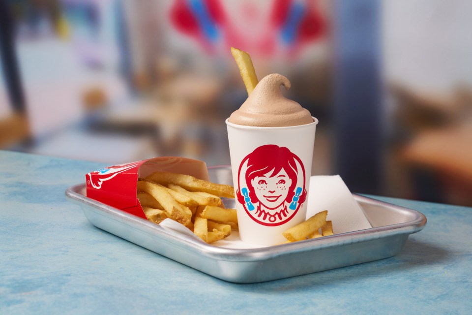 Wendy's Frosty and fries on a tray.