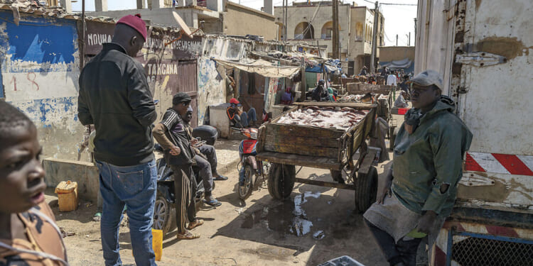 In an age of migration and homecoming, humanity's connections remain