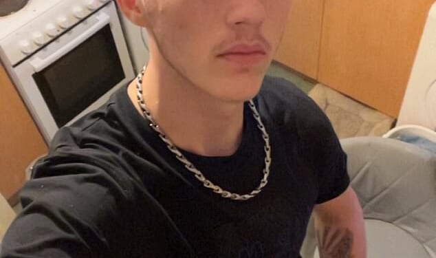 Logan Smith, 18, died in a car crash on the M5 after being Tasered by a police officer