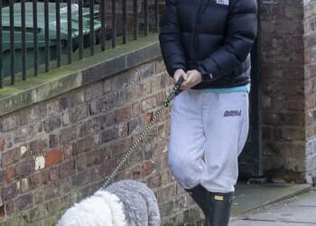 Isla Fisher wrapped up as she walked her dog with her mother in London on Friday after her 'challenging' split from ex-husband Sacha Baron Cohen