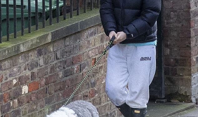 Isla Fisher wrapped up as she walked her dog with her mother in London on Friday after her 'challenging' split from ex-husband Sacha Baron Cohen