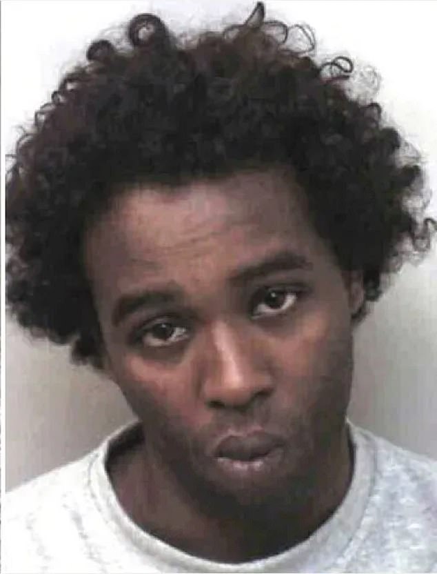 Drug gangster turned jihadist sympathiser Fuad Awale, 38, used European rights laws to argue being locked up alone was unfair - despite the move following his hostage taking terror attack