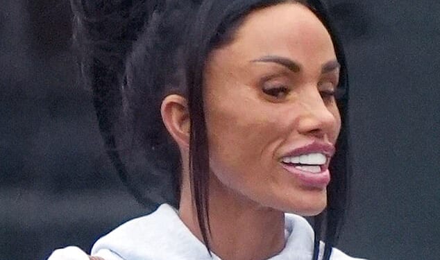 Katie Price proudly showed off her 'kissable' new lips as she headed to a sunbed shop in Sussex on Friday