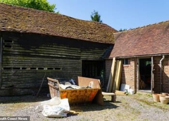 Steve Coogan's plans to upgrade his lavish £4m country home could be foiled in true Alan Partridge style - by a great crested newt